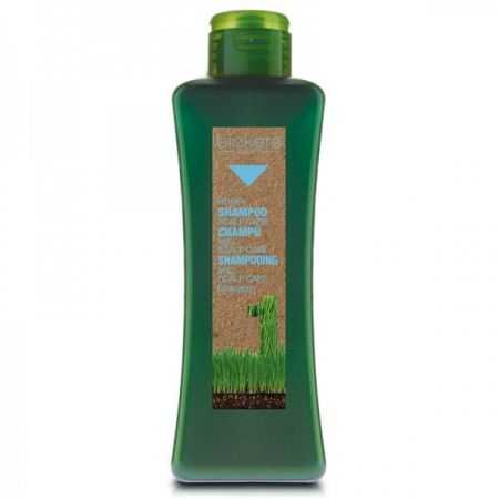 BIOKERA SHAMPOING SCALP CARE CUIR CHEVELU SENSIBLE 1000 ML