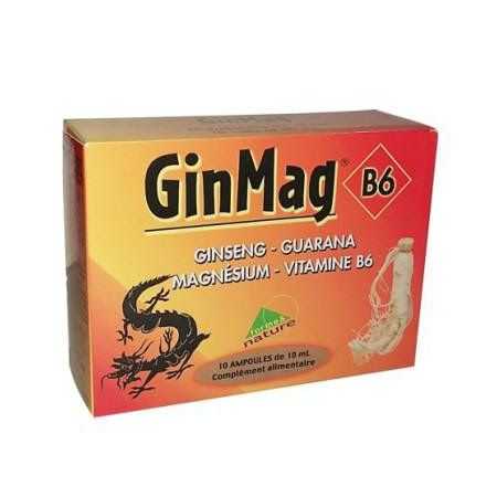 FORME ET NATURE GINMAG B6 10 AMPOULES