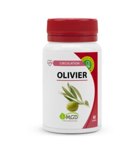 MGD NATURE OLIVIER 60 COMPRIMES