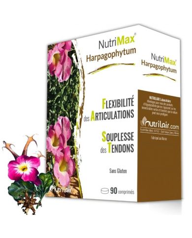 NUTRIMAX HARPAGOPHYTUM 90 COMPRIMES
