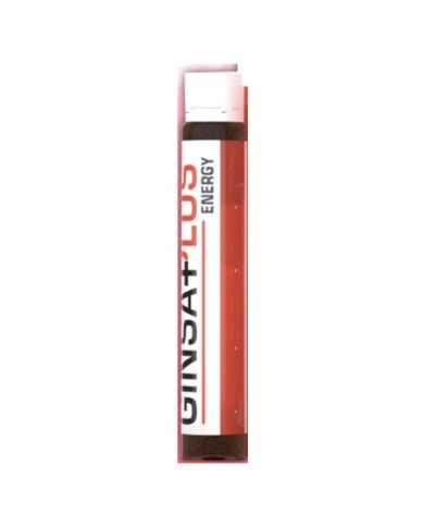 WINNER GINSA PLUS ENERGYSHOT 25 ML