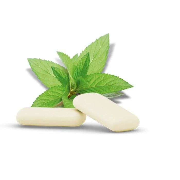 LEMON PHARMA Chewing gum Ginger– Mint 30g