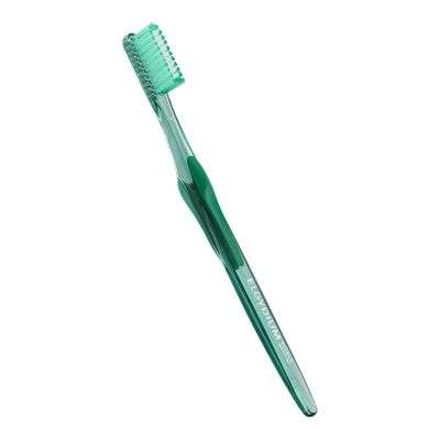 ELGYDIUM VITALE BROSSE A DENT MEDIUM