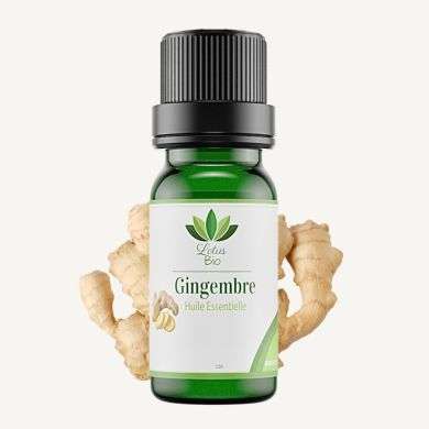 LOTUS BIO HUILE ESSENTIELLE DE GINGEMBRE