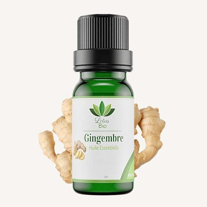LOTUS BIO HUILE ESSENTIELLE DE GINGEMBRE