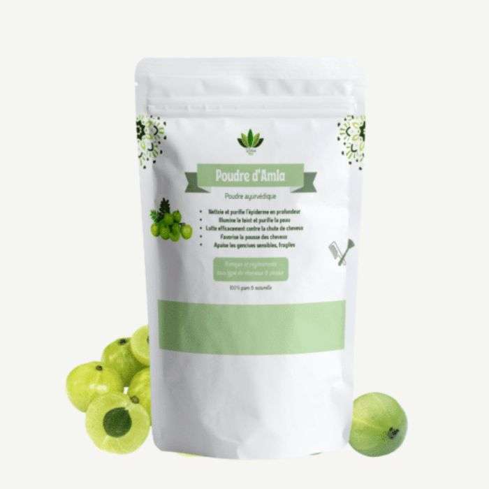 LOTUS BIO POUDRE D'AMLA 100 G