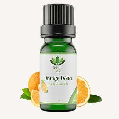 LOTUS BIO HUILE ESSENTIELLE ORANGE DOUCE 10 ML