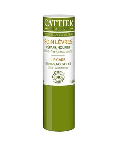 CATTIER SOIN LEVRES OLIVE MANGUE SAUVAGE 4G