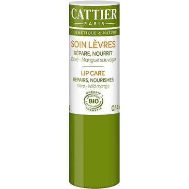 CATTIER SOIN LEVRES OLIVE MANGUE SAUVAGE 4G
