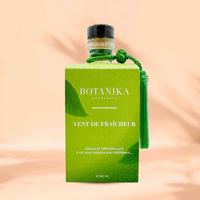 BOTANIKA PARFUM D'AMBIANCE VENT DE FRAIHEUR 250 ML
