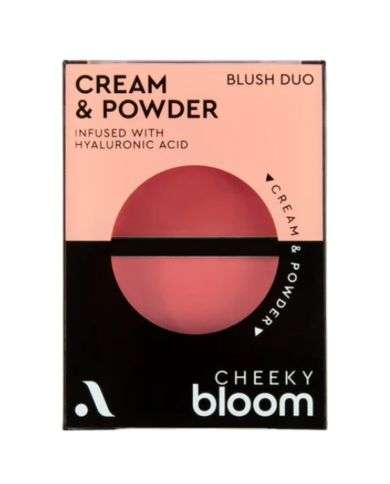 ABSOLUTE NEW YORK CHEEKY BLOOM DUO CREME ET POUDRE 01