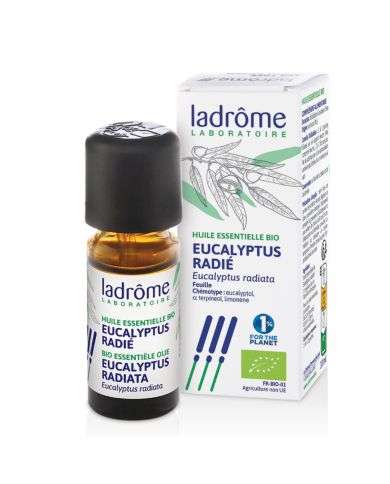 LADROME HUILE ESSENTIELLE BIO EUCALYPTUS RADIE