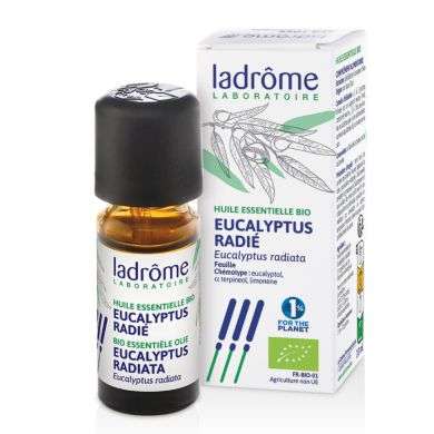 LADROME HUILE ESSENTIELLE BIO EUCALYPTUS RADIE