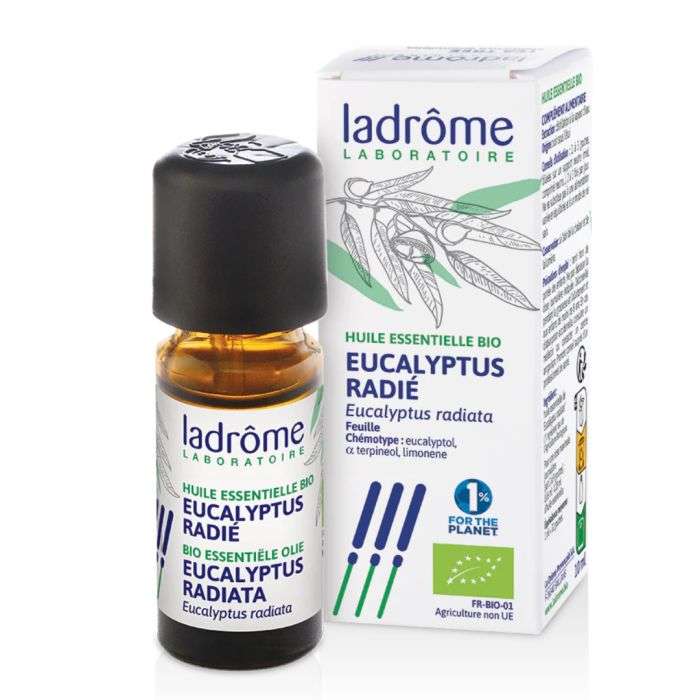 LADROME HUILE ESSENTIELLE BIO EUCALYPTUS RADIE