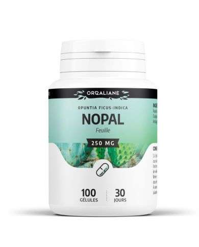 GPH NOPAL FEUILLE 250 MG 100 GELULES
