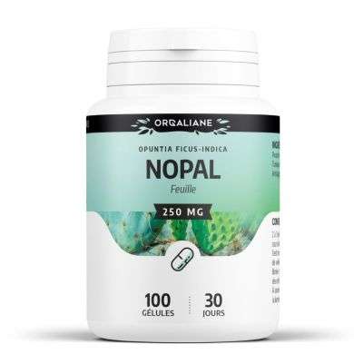 GPH NOPAL FEUILLE 250 MG 100 GELULES