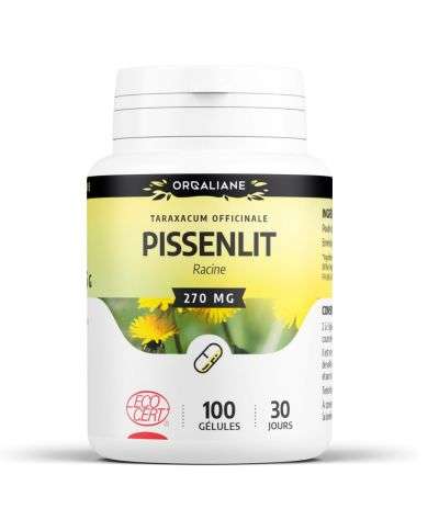 GPH PISSENLIT RACINE 270 MG 100 GELULES