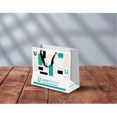 SAC UNIVERSPARADISCOUNT PETIT MODELE 2425 CM