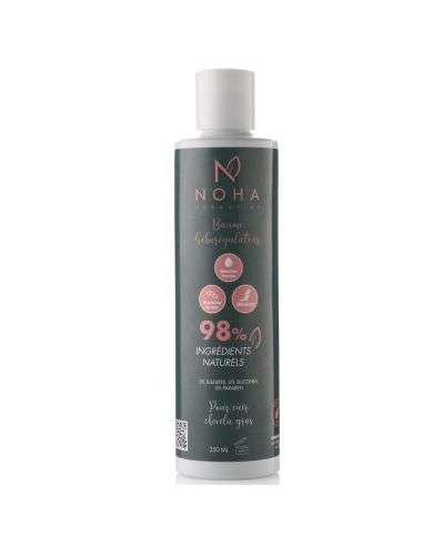 NOHA COSMETICS BAUME SEBOREGULATEUR POUR CUIR CHEVELU GRAS 250 ML