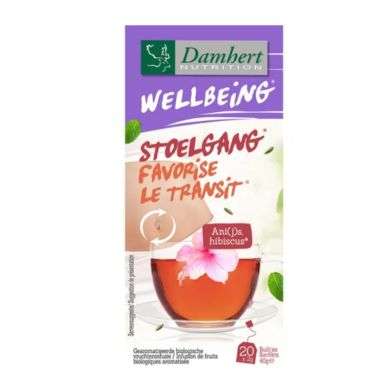 DAMHERT WELLBEING FAVORISE LE TRANSITE 20 SACHETS
