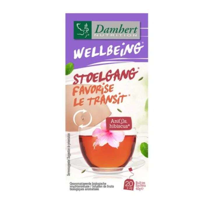 DAMHERT WELLBEING FAVORISE LE TRANSITE 20 SACHETS