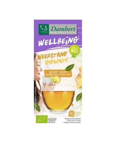DAMHERT WELLBEING IMMUNITE GINGEMBRE CITRON VERT 20 SACHETS