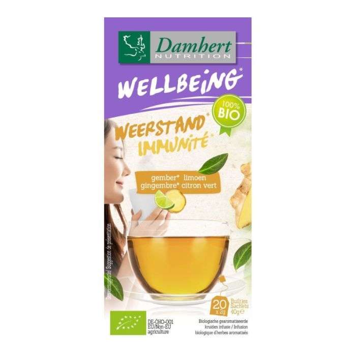 DAMBERT WELLBEING IMMUNITE GINGEMBRE CITRON VERT 20 SACHETS