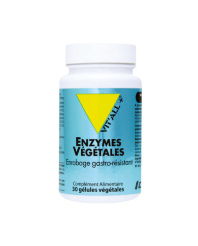 VITTALL + ENZYMES VEGETAL 30 GELULES