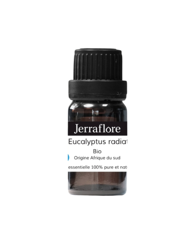 JERRAFLORE HUILE ESSENTIELLE EUCALYPTUS RADIATA BIO 10 ML