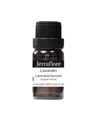 JERRAFLORE HUILE ESSENTIELLE LAVANDIN LAVANDULA BURMATI 10 ML