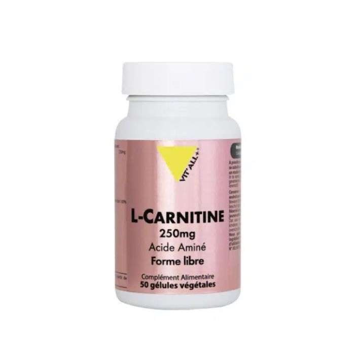 VITALL+ LCARNITINE 250 MG 50 GELULES