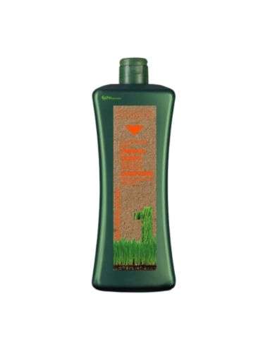 BIOKERA NATURE SHAMPOING CHEVEUX TRAITES 1000ML