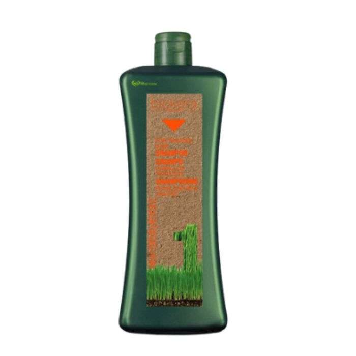 BIOKERA NATURE SHAMPOING CHEVEUX TRAITES 1000ML
