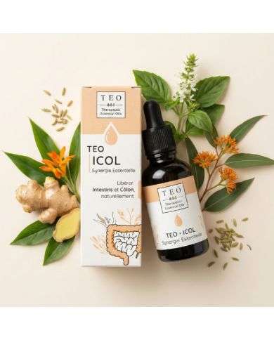 TEO-ICOL® - CONFORT DIGESTIF - SYNERGIE ESSENTIELLE - 10ML