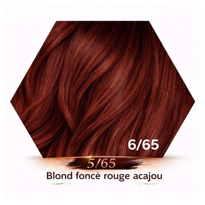 ERAYBA GAMMA COLORATION HYDRATANTE PERMANENTE 6-65 BLOND FONCE ROUGE ACAJOU INTENSE