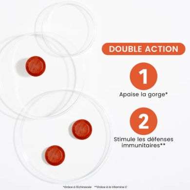 SANTAROME RUCHE ROYALE 24 PASTILLES GORGE GOUT MIEL FRUITE