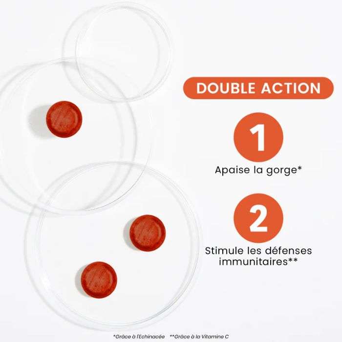 SANTAROME RUCHE ROYALE 24 PASTILLES GORGE GOUT MIEL FRUITE