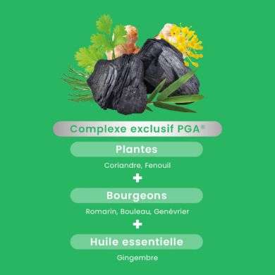 SANTAROME GAZ ET BALLONNEMENTS BIO 30 GELULES