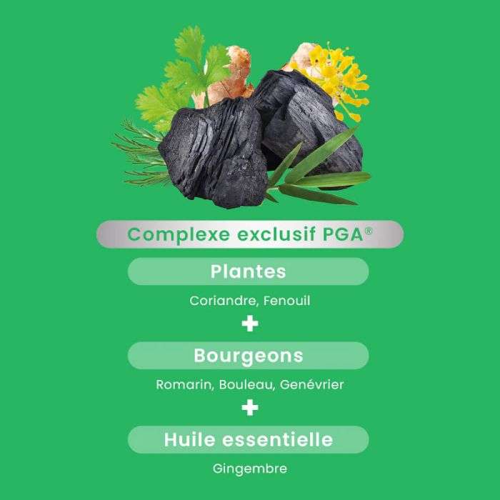 SANTAROME GAZ ET BALLONNEMENTS BIO 30 GELULES