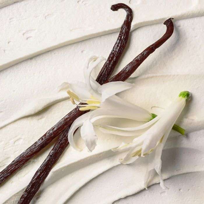 EOS 24H MOISTURE BODY LOTION VANILLA CASHMERE 473 ML