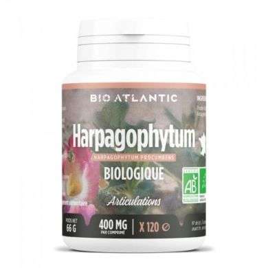 GPH HAPRAGOPHTUM BIO 120 COMPRIMES 400 MG