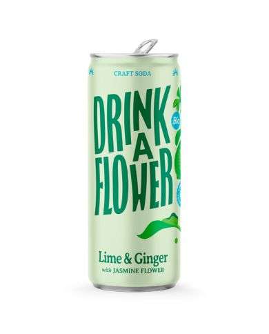 DRINK A FLOWER BOTANICAL LEMONADE BOOST LIME AND GINGER 25 CL