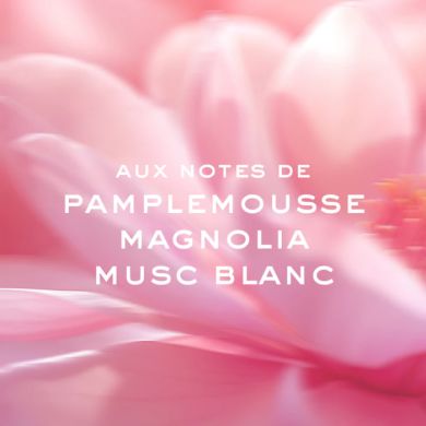 NUXE HUILE PRODIGIEUSE FLORALE ROLL ON HUILE SECHE MULTI FONCTIONS 60 ML