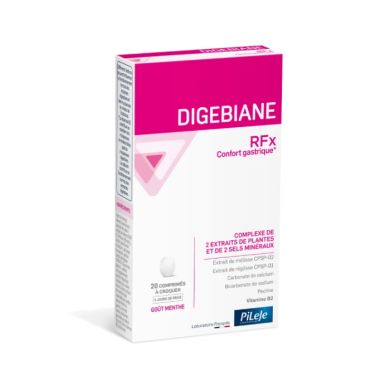 PILEJE DIGEBIANE RF CONFORT GASTRIQUE 20 COMPRIMER A CRAQUER GOUT MENTHE