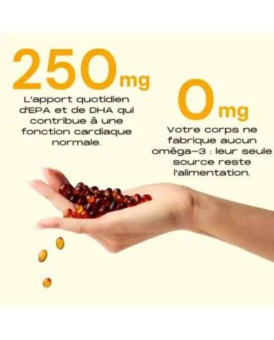 ELEV8 ELEVATE YOUR FLOW 120 GELULES OMEGA 3