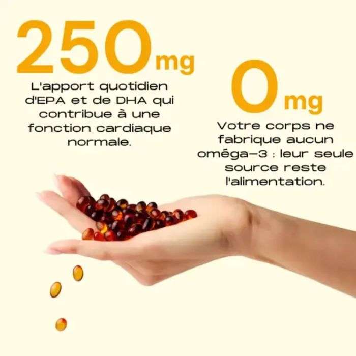 ELEV8 ELEVATE YOUR FLOW 120 GELULES OMEGA 3