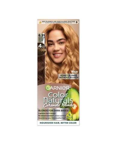 GARNIER COLOR NATURALS CARAMELO BLONDE HONEY BLONDE WITHOUR BLEACH 8.31