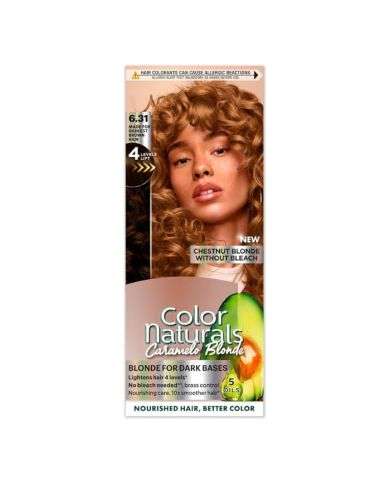 GARNIER COLOR NATURALS CARAMELO BLONDE CHESTNUT BLONDE WITHOUT BLEACH 6.31