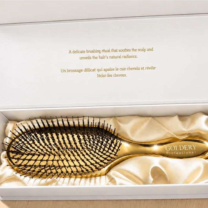 GOLDERY BROSSE LUXUEUSE MULTIFONCTIONS