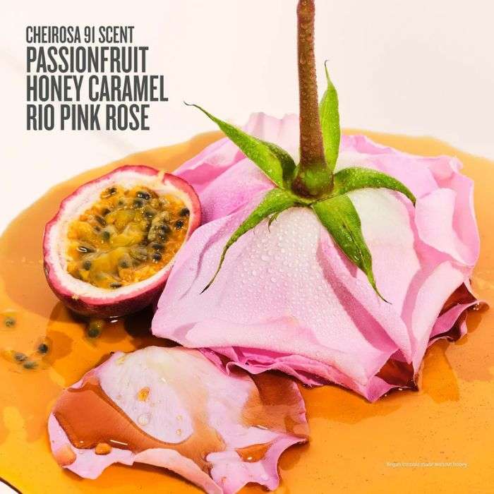 SOL DE JANEIRO ROSA CHARMOSA DEWY BODY CREAM 240 ML